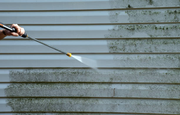 Best Roof Power Washing Services  in Coldstream, KY